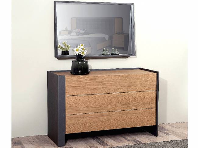 ΣΥΡΤΑΡΙΕΡΑ WT55 115x43x90