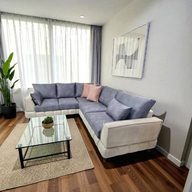 ΓΩΝΙΑΚΟ ΣΑΛΟΝΙ DOMO 290x240 ΜΕΜΟΝΟΜΕΝΑ ΤΜΧ